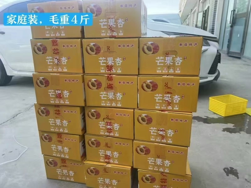 芒果杏新疆阿克苏产地直发
