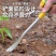 荠菜铲子园艺种花特快工具铁铲种菜除草挖土拔草户外锰钢