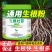 通用强力正宗生根粉生根剂强效生根快速焕发新根促根系正