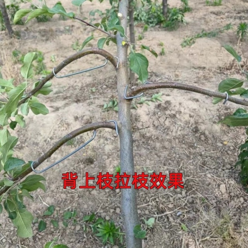 果树弯枝器别枝器开角器拉树枝神器改进型拉枝器压枝神器