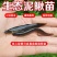 台湾泥鳅苗，渔场直发，淡水专业技术养殖，售后服务一条龙