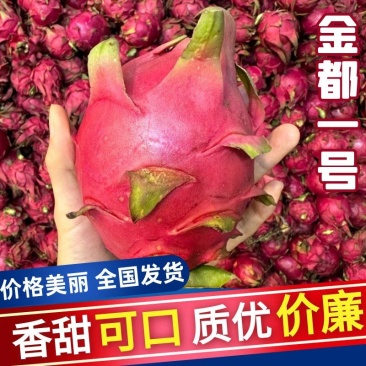 火龙果金都一号红肉火龙果，产地直发，对接电商团购一件代发