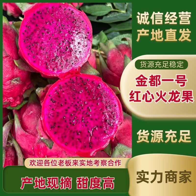 金都一号火龙果/产地直发，电商一件代发/社区团购/抖音