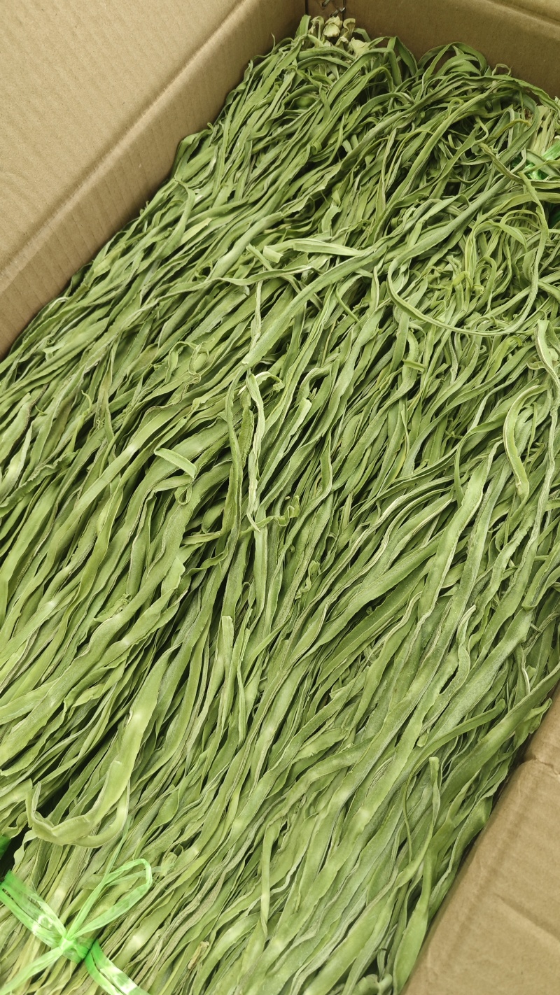 云南大理贡菜大量现货