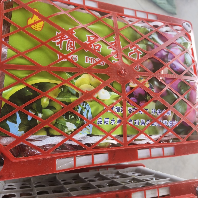 五月脆、澳洲红、八宝丹、大宝石等大量上市，口感好，包装全