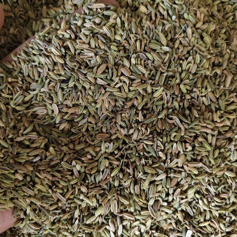 小茴香各种小茴香批发零售
