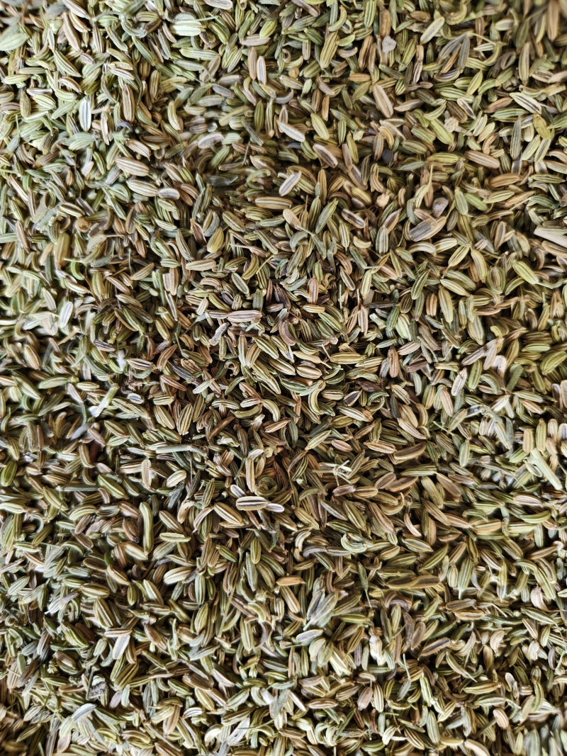 小茴香各种小茴香批发零售