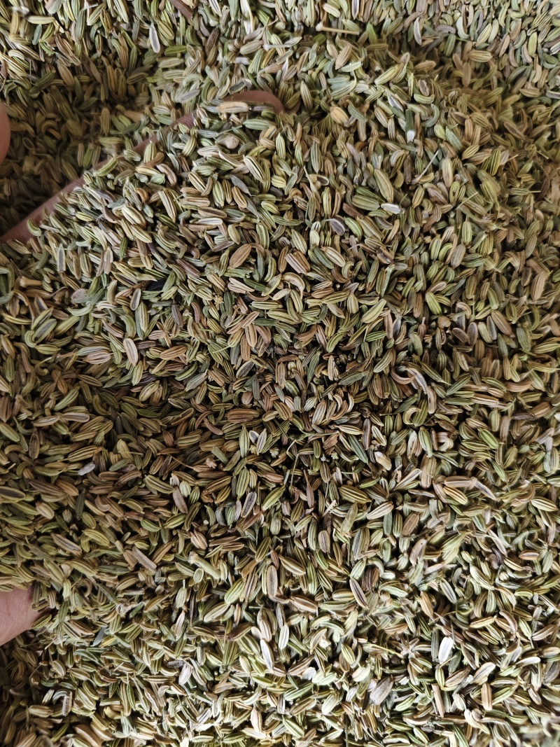 小茴香各种小茴香批发零售