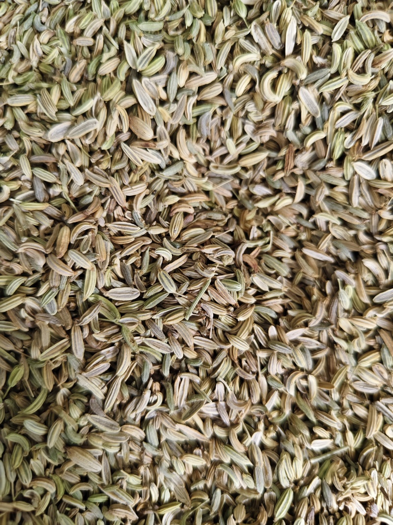 小茴香各种小茴香批发零售