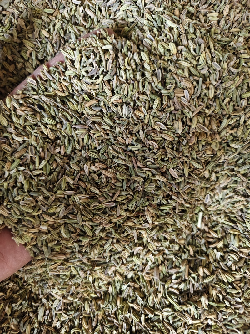 小茴香各种小茴香批发零售