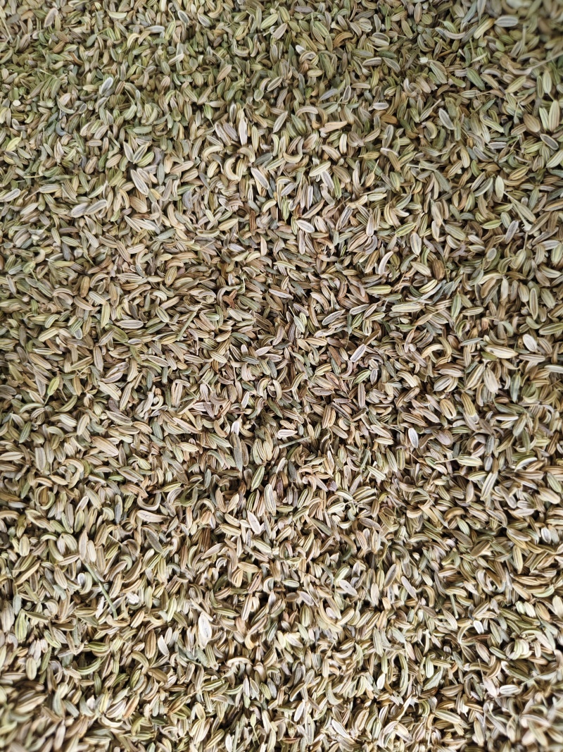 小茴香各种小茴香批发零售