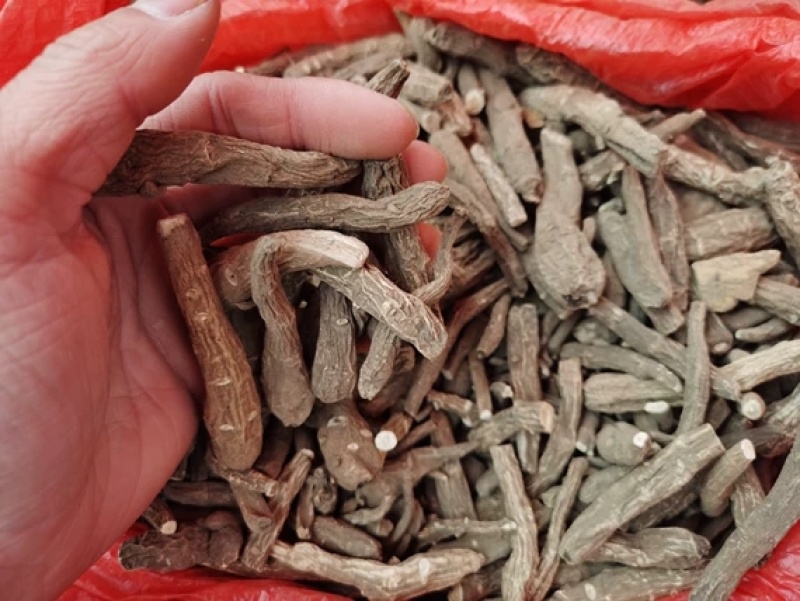 雪上一只蒿一只蒿铁棒锤