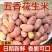 五香蒜香花生1斤包邮