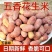 五香蒜香花生1斤包邮