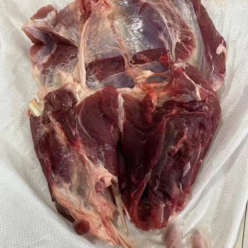 牛肉，牛腱肉，牛腿肉，四分体，乳牛肉