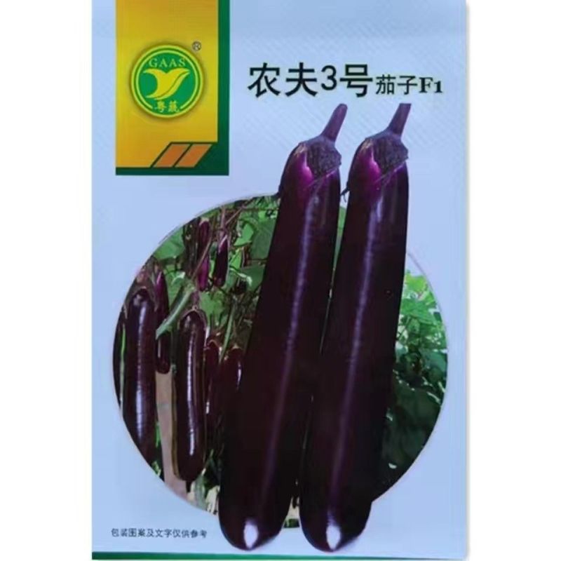 农夫2号3号长茄种子广东农科紫红长茄种子果皮深紫