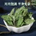薄荷叶3瓶包邮