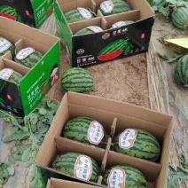 江苏盐城甘美4K西瓜大量接单，价格美丽诚信合作欢迎下单