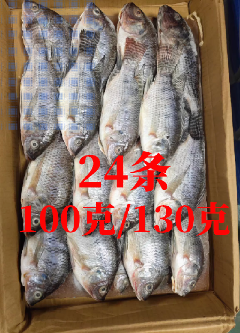 三去罗非鱼（去鳞、去鳃、去肚）