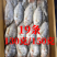 三去罗非鱼（去鳞、去鳃、去肚）