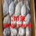 三去罗非鱼（去鳞、去鳃、去肚）