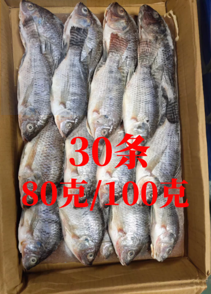 三去罗非鱼（去鳞、去鳃、去肚）