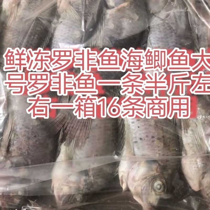三去罗非鱼（去鳞、去鳃、去肚）