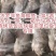 三去罗非鱼（去鳞、去鳃、去肚）