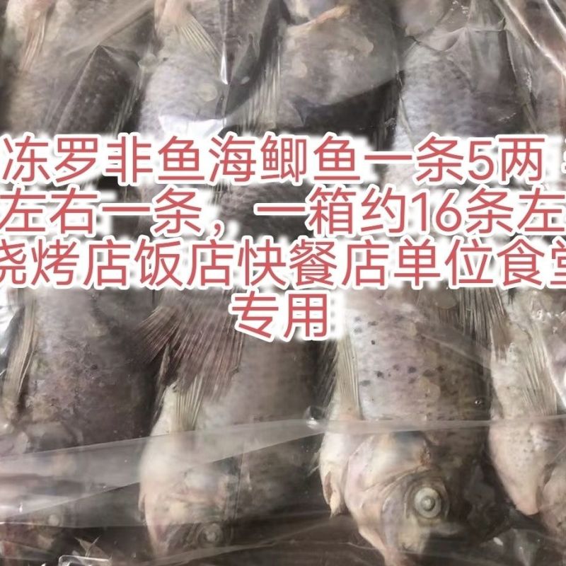 三去罗非鱼（去鳞、去鳃、去肚）