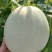 玉菇蜜瓜玉菇甜瓜玉菇香瓜大量上市一手货源对接市场电商