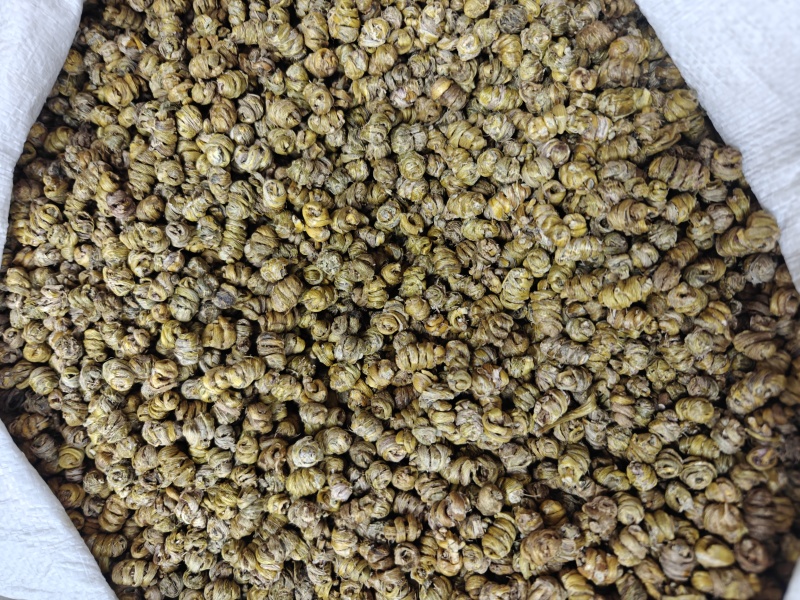 正宗霍山铁皮石斛紫皮石斛胶质好渣少高品质批发包邮