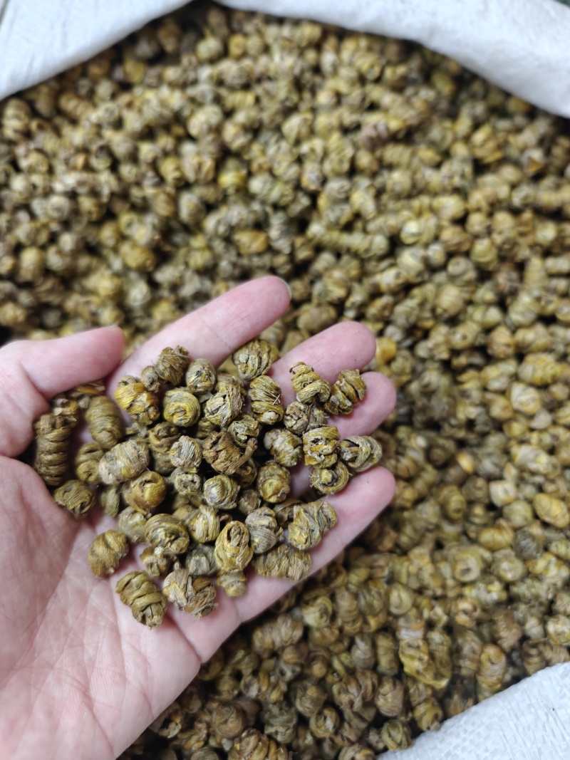 正宗霍山铁皮石斛紫皮石斛胶质好渣少高品质批发包邮