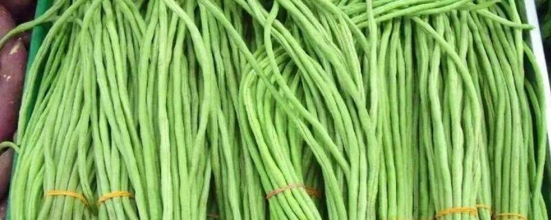 青条豆角