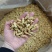 西洋参花旗参加拿大西洋参花旗参选装味道好