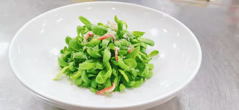 小仙草苗，清爽可口。酒店，餐厅，饭店等凉菜专用，全国发货