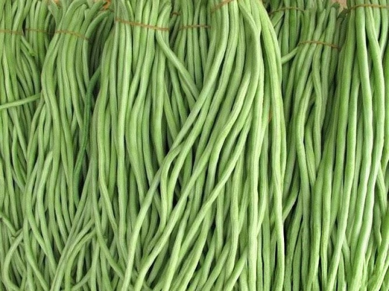 白条豆角
