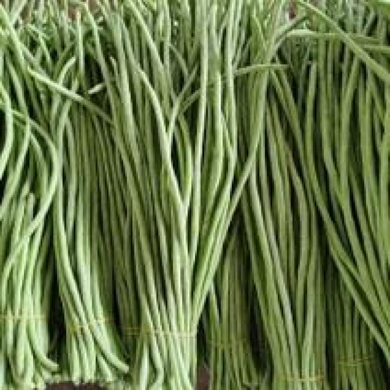 白条豆角