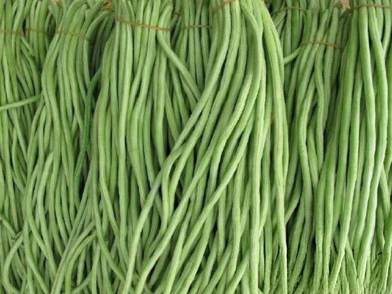 白条豆角