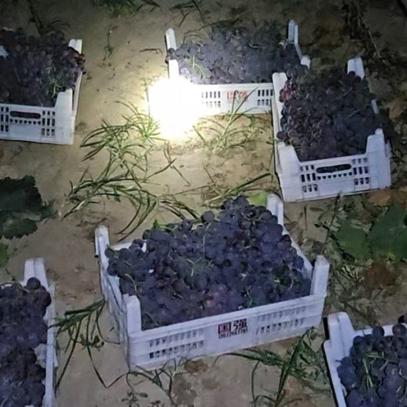 求有实力的主播带货团队来合作电商