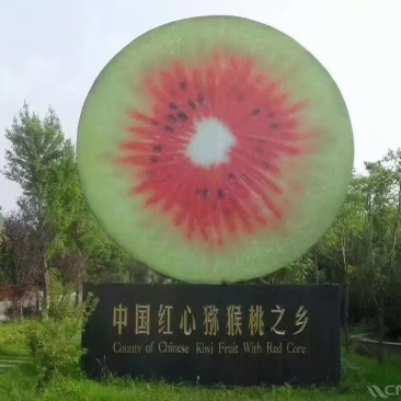 中国凉都正宗红心猕猴桃