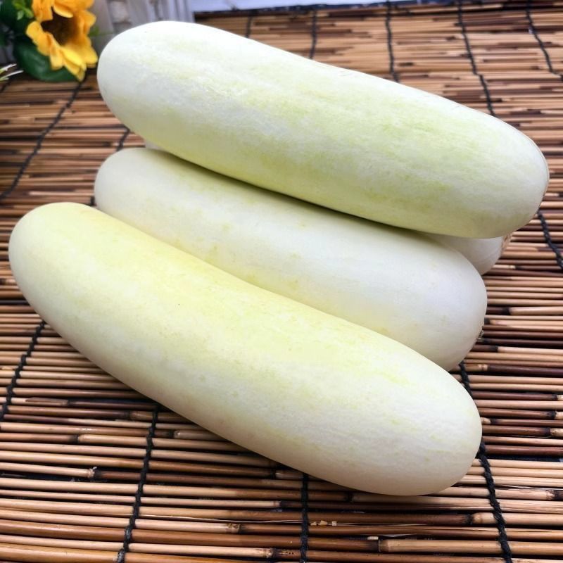 精品白黄瓜湖北苦瓜水果黄瓜大量供应可视频看货欢迎来