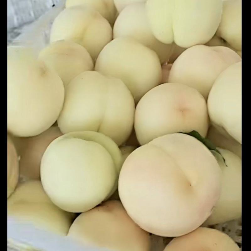 新沂水蜜桃