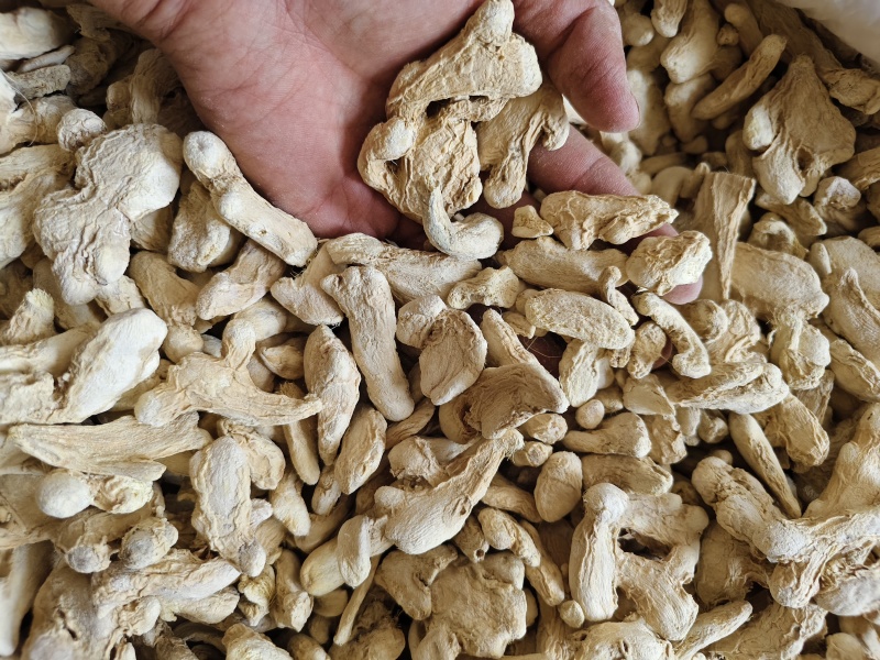 干姜干姜片干姜个规格齐全批发零售