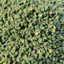 花椒青花椒去籽青花椒产地直供一手货源欢迎咨询