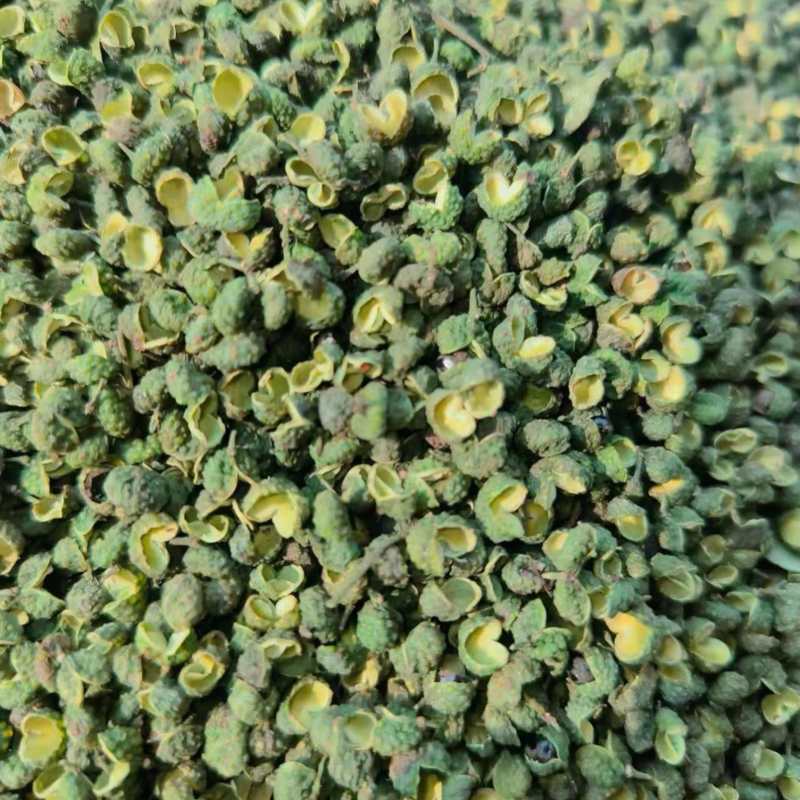 花椒青花椒去籽青花椒产地直供一手货源欢迎咨询