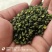花椒青花椒去籽青花椒产地直供一手货源欢迎咨询