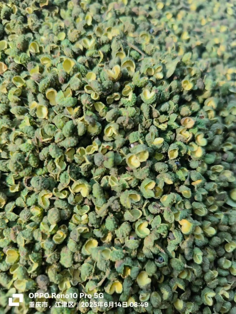 花椒青花椒去籽青花椒产地直供一手货源欢迎咨询