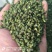 花椒青花椒去籽青花椒产地直供一手货源欢迎咨询