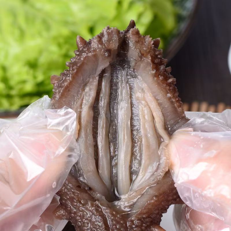 大连海参/即食海参/刺参/品质好对接全国高端送礼欢迎