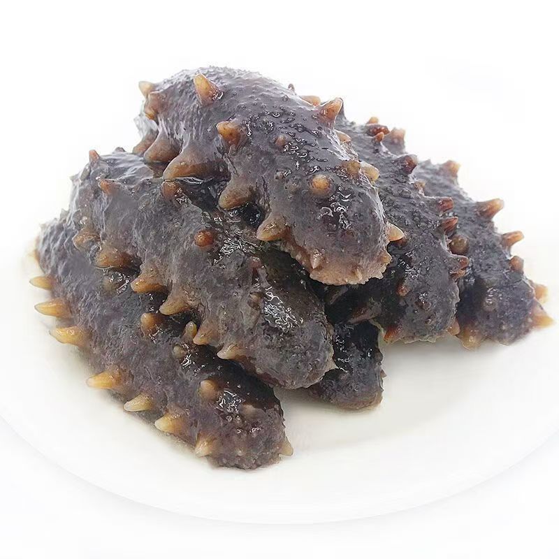 大连海参/即食海参/刺参/品质好对接全国高端送礼欢迎
